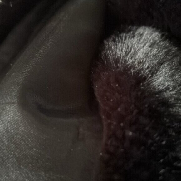 Ann Taylor (O/S) Sophisticated Soft & Luxurious Faux-Fur Stole/ Wrap/ Cape - Picture 8 of 9